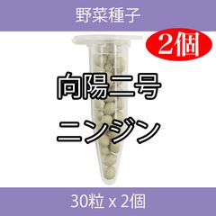 野菜種子 TVF01 向陽二号ニンジン 30粒 x 2個