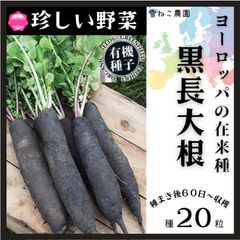2025年最新】雪ねこ農園の根菜類の種の人気アイテム - メルカリ