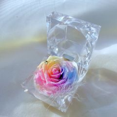 希望の花・パステルレインボーローズプリザーブドフラワー・ミニジュエリーアレンジ
