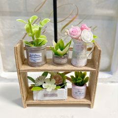 #465 ミニチュア インテリア ＊観葉植物⑤