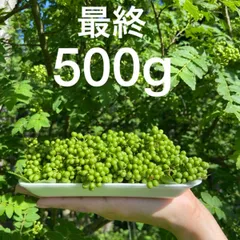 2024年最新】山椒の実 500gの人気アイテム - メルカリ