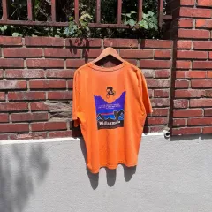 XL ） 90 ' s patagonia(パタゴニア) パロディ Tシャツ