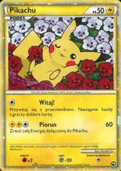 ARS10+ 【世界に13枚】ピカチュウワールド プロモ　ポーランド ARS10+ 【世界に13枚】ピカチュウワールド プロモ ポーランド