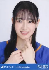 乃木坂46 2024個別ベースボールシャツ　向井葉月 乃木坂46 OFFICIAL WEB SHOP | 乃木坂46 グッズ通販サイト