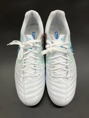 アシックス DS LIGHT X-FLY PRO 2（1101A055-102)