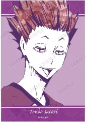 【中古】キャラカード 天童覚(縦) 「ハイキュー!! トレーディング Ani-Art 第1弾 ブロマイド ver.B」