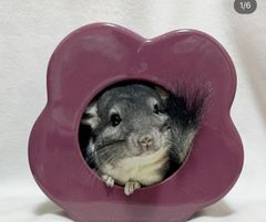 花型のチラ壺、紫、パープル、陶器製、小動物ハウス、国内製（岐阜）、かわいい