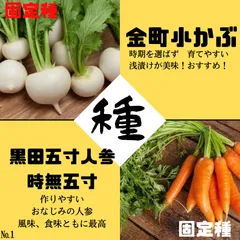 №1【野菜の種】黒田五寸ニ人参・時無五寸/金町小かぶ　固定種　種子セット