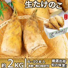 生たけのこ 約2kg  5~10本入×1箱 中国産タケノコ 旬の食材 冬笋 竹笋