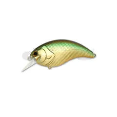 2026年最新】イヴォーク 4.0の人気アイテム - メルカリ