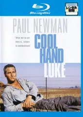 直筆サイン入り写真 ポール・ピアース ボストン・セルティックス SA鑑定済 直筆サイン入り写真 ポール・ピアース ボストン・セルティックス