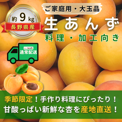 生あんず～料理・加工向き～【内容量】約9kg【配送方法】通常配送【サイズ】L以上【品目】杏（あんず）【品種】当店お任せ【産地】長野県【規格】ご家庭用A品B品混合【詰め方】バラ詰め【配送までの日数】1～4日
