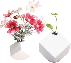 Item thumbnail for item 89315da6-2f0e-4100-af67-0c8a2a3c25ae