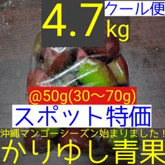 〈スポット特価〉沖縄県産 摘果マンゴー/青マンゴー@50g(30〜70g)約4.7kg【クール便】①