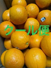 オレンジ 箱込6.5キロ程度 アメリカ産