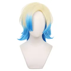 2026年最新】カイザー ウィッグの人気アイテム - メルカリ