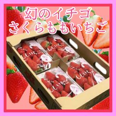幻のイチゴ さくらももいちご 徳島県産 4パック入 贈答用 ギフトセット 家庭用
