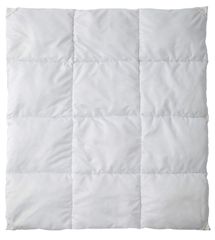 Item thumbnail for item 082d772a-fcd1-43ea-beb4-e54b9ef17d96