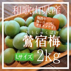 梅 鶯宿梅 おうしゅく 2kg 和歌山