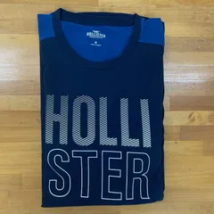 ホリスター ロンT
