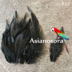 ❤️【F18黒】高品質 羽根 フェザー 鳥の羽根 ハンドメイド 素材 鳥   パーツ