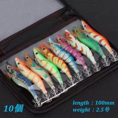 新品 餌木 エギ 3.0号 10本セット ケース付き - メルカリ