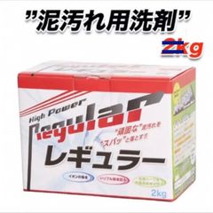 レギュラー　洗濯用洗剤　５００グラム