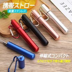 携帯ストロー ポケットストロー マイストロー 高級感 伸縮式 折り畳み コンパクト 洗浄ブラシ付き 繰り返し使える エコ サステナブル SDGs カラビナ付き 携帯便利