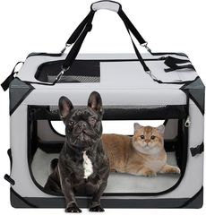 Item thumbnail for item 098a529b-0e00-4481-b4b2-f5a710b5ea45