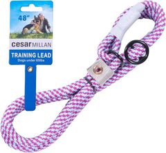 Item thumbnail for item 5121495c-6ba1-44e6-b2be-928c63a7b13d