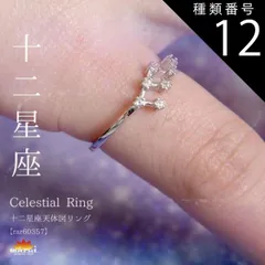 種類12:魚座 リング 指輪 レディース フリーサイズ 金属アレルギー 指先に夜空を彩る。十二星座天体図リング チェーン アクセサリー 925シルバー スターリングシルバー シルバー 十二星座 星 星座 誕生日 きれいめ プレゼント シンプル n_marai 