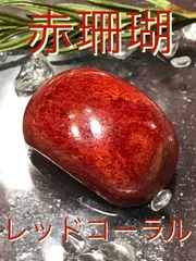 2025年最新】赤珊瑚ルースの人気アイテム - メルカリ