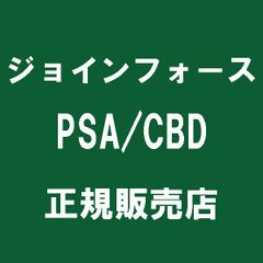 世界で29枚】波導のルカリオ PSA10 093/PCG-P ミュウと波導の勇者 