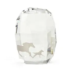 2025年最新】Swarovski 2014 SCSの人気アイテム - メルカリ
