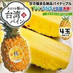 台湾産パイナップル「極」 4玉 Mサイズ