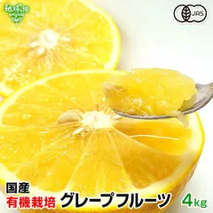 (残りわずか) 国産 有機グレープフルーツ 4kg 熊本県産 酸味が強いダンカン 化学肥料・除草剤不使用 有機JAS 有機栽培 自宅用 発送期間4～7月上旬のサムネイル