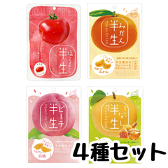 半生フルーツ ドライフルーツ ドウシシャ （トマト、ピーチ、みかん、梨)【お試し4種セット】