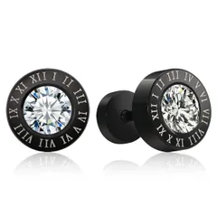 【大人気！再入荷しました♪】レディース ステンレス鋼 メンズ メンズ スタッドピアス アクセサリー ピアス金属アレルギー対応 オシャレ ジルコニア シンプル ブラックシンプル 黒ピアス ブランド 人気 ピアス ユニセックス Richapex