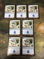 MTG 神河土地　まとめ売り 2025年最新】mtg 土地 神河の人気アイテム - メルカリ
