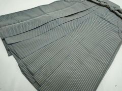 Item thumbnail for item 2c88c0bd-94c9-42b5-90a0-8099e21fa16e