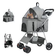 Item thumbnail for item c4698123-a0a0-43fb-9708-cb9599888223