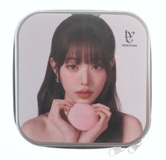 IVE ウォニョン グッズ CDケース/DVDケース 20枚収納 両面写真2