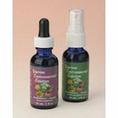 【1０％オフ☆抵抗力ＵＰセット】ＦＥＳ　「ヤロー環境フォーミュラ　スプレー（３０ｍｌ）＆エッセンスボトル（３０ｍｌ）★オトクな2本セット」
