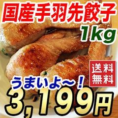 冷凍 手羽先餃子 国産 20本 選べる3種類 餃子味・チーズ味・明太味 お肉