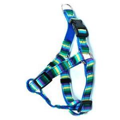 Item thumbnail for item e9f458fb-ad24-42fd-9b0e-c1165ca13d75