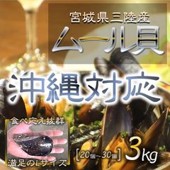 沖縄地域用 宮城県三陸産 ムール貝 3kg Lサイズ 濃厚な旨み 出汁も最高