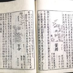 絵入◆和漢三才図会◆102 柔滑菜 草花 図鑑 風俗 百科事典 漢籍 江戸 時代物 浮世絵UKIYOE 木版画 骨董 古美術 古典籍 古文書 和本 古書#和本～江戸屋～