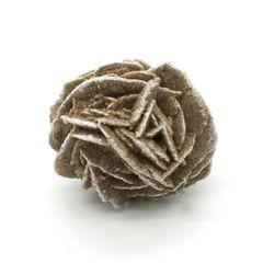 【送料無料】つくしサイエンス 砂漠の薔薇 デザートローズ 30mm セレナイト 天然石 鉱物標本 砂漠のバラ【返品・交換保証】