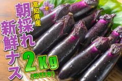 有名ブランド 100引きの商品 野菜