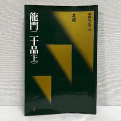 中国法書選 20 北魏 龍門二十品 上 二玄社 中国書道